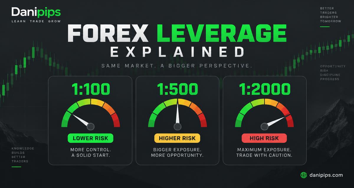 Forex Leverage Explained for Beginners: 1:100 vs 1:500 vs 1:2000